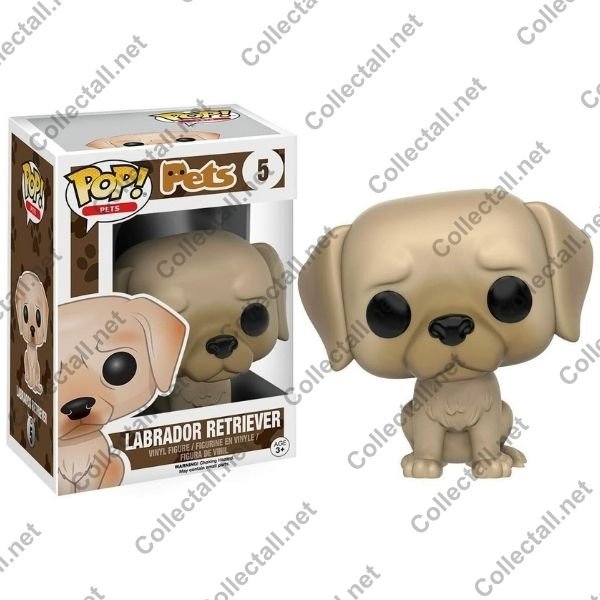 Labrador Retriever #05