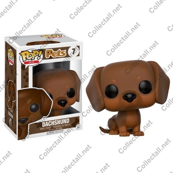 Dachshund #07