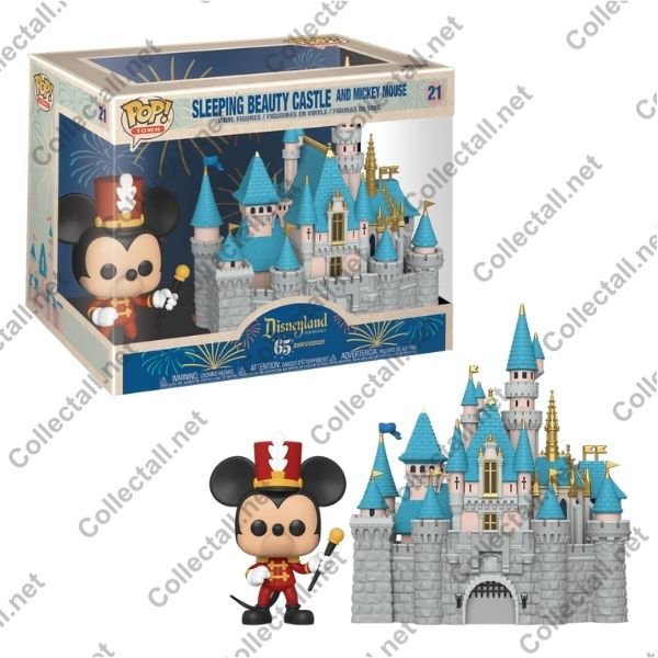 Sleeping Beauty Castle And Mickey Mouse #21