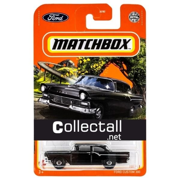 Ford Custom 300 (10/100)