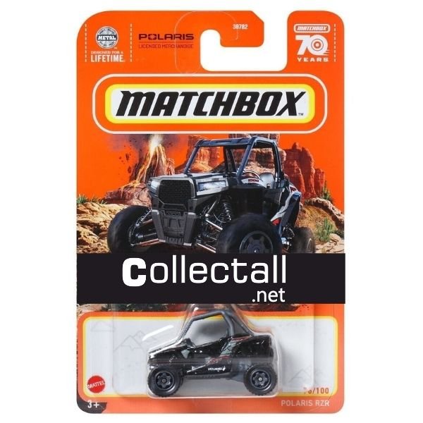 Polaris RZR (76/100)