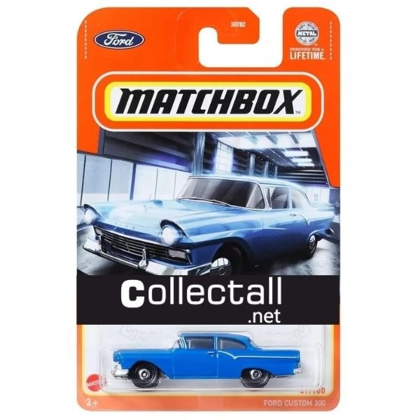 Ford Custom 300 (41/100)