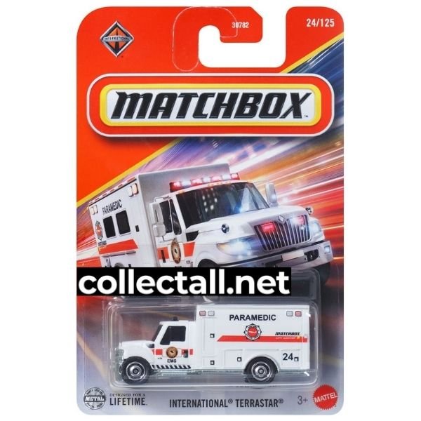 International Terrastar (24/125)