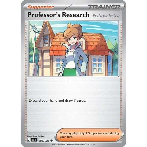 Professor's Research (085/086)