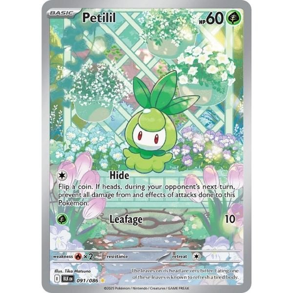 Petilil (091/086)