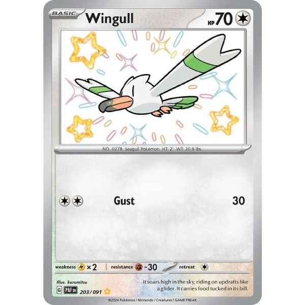 Wingull (203/091)