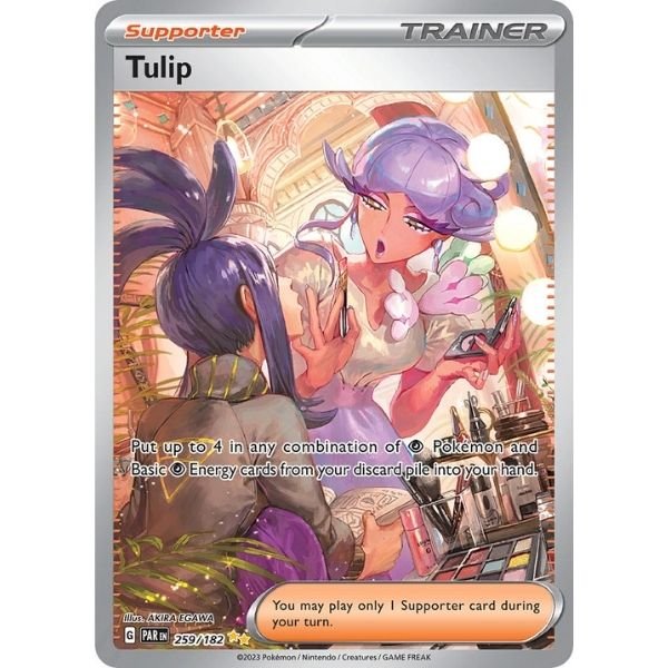 Tulip (259/182)