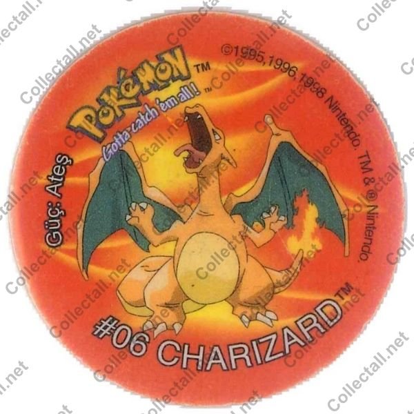 #06 Charizard (4)