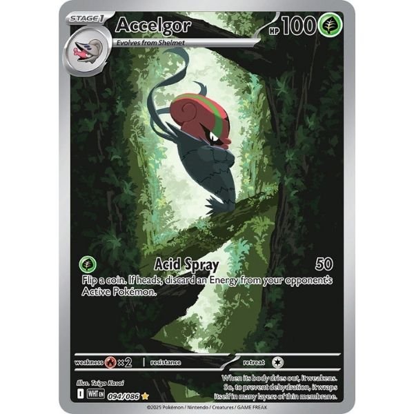 Accelgor (094/086)